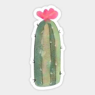 Cactus Sticker